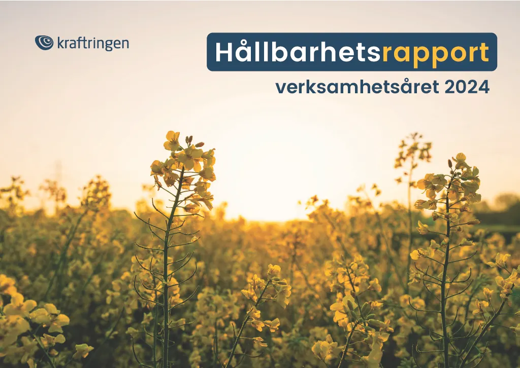 Kraftringens hållbarhetsrapport 2024
